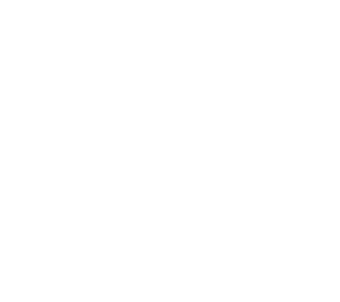 Assure programme delivery and mitigate transformation risk A4 – Assurance and Risk Governance icon from the A5 Transformation Catalyst™
